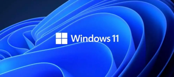 cara mempercepat windows 11